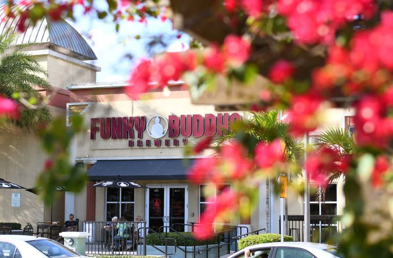 funky buddha canva
