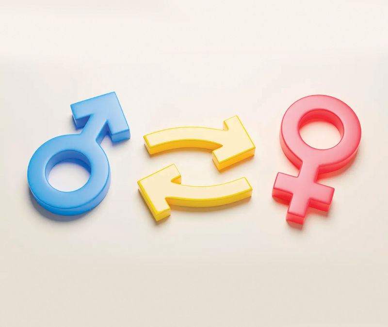 genderchanges