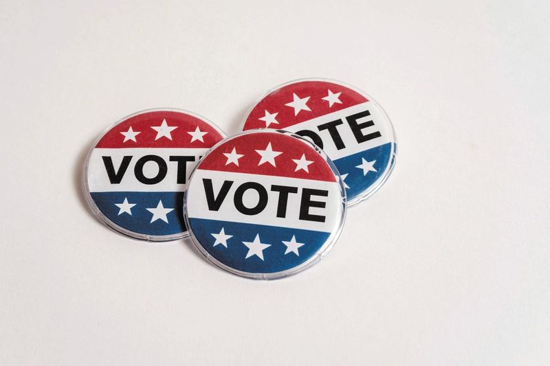 NewYorkVoting