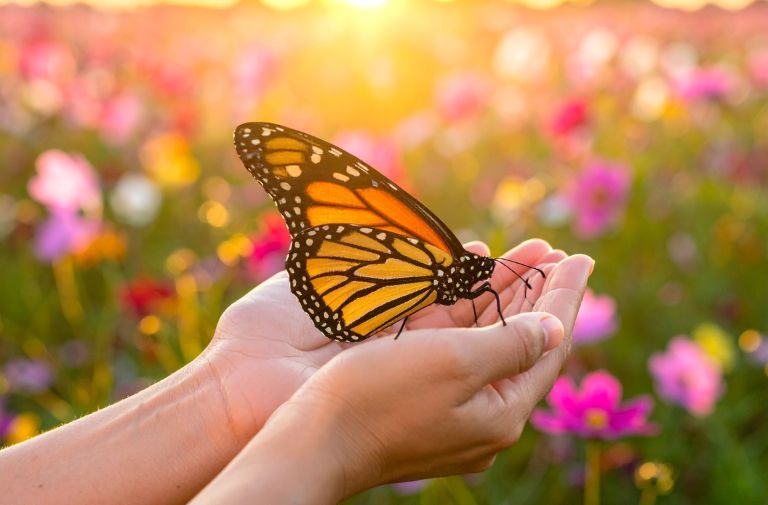 Photo via Adobe Firefly.