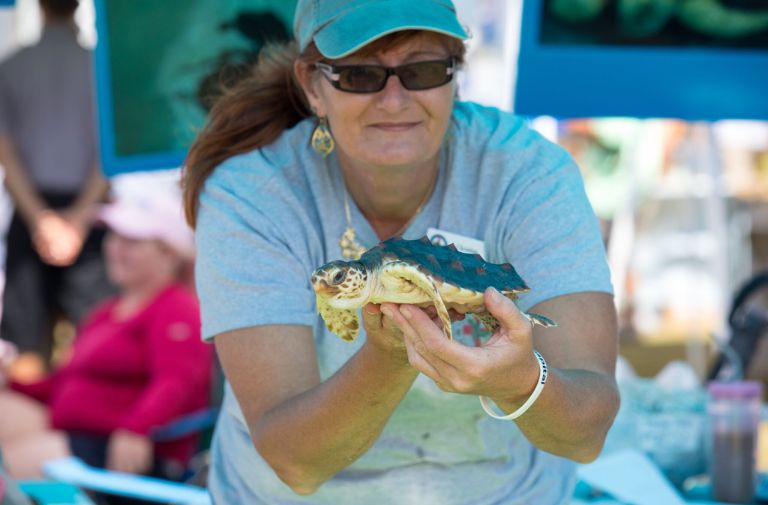 Ocean Fest highlights the restoration and preservation work in the nearby waters. Photo courtesy of Mote.
